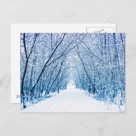 Winterwaldweg Postkarte (Vorne/Hinten)