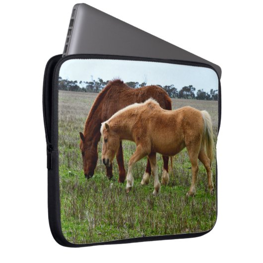Winterwalzpferde, Laptopschutzhülle (Vorne Rechts)