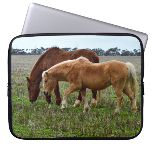 Winterwalzpferde, Laptopschutzhülle (Vorderseite)
