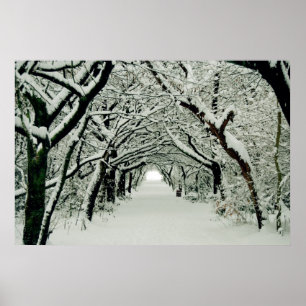 Winterwanderplakat Poster