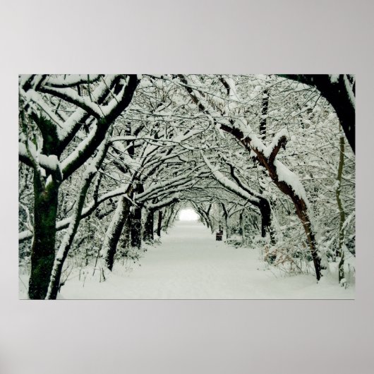 Winterwanderplakat Poster (Vorne)