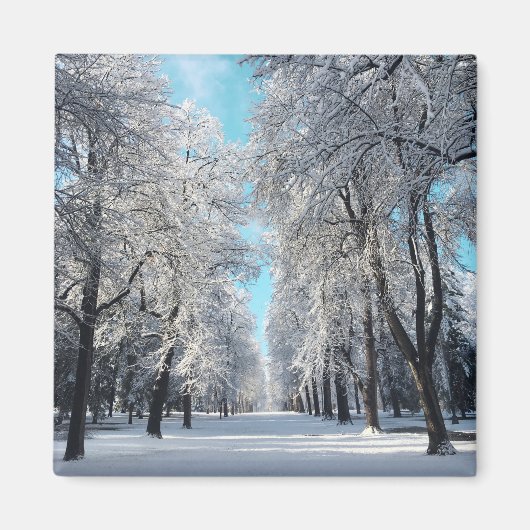 Winterwanderung im Park Magnet (Vorne)