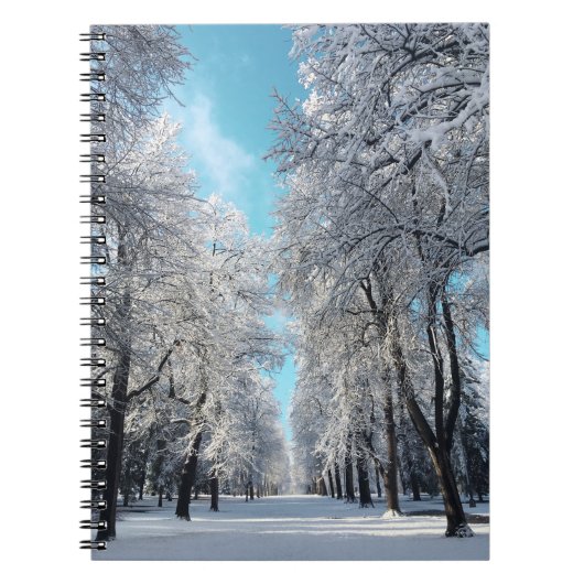 Winterwanderung im Park Notizblock (Vorderseite)