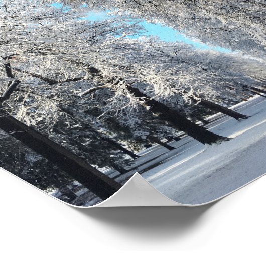 Winterwanderung im Park Poster (Ecke)