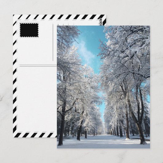 Winterwanderung im Park Postkarte (Vorne/Hinten)