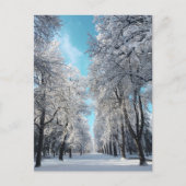 Winterwanderung im Park Postkarte (Vorderseite)