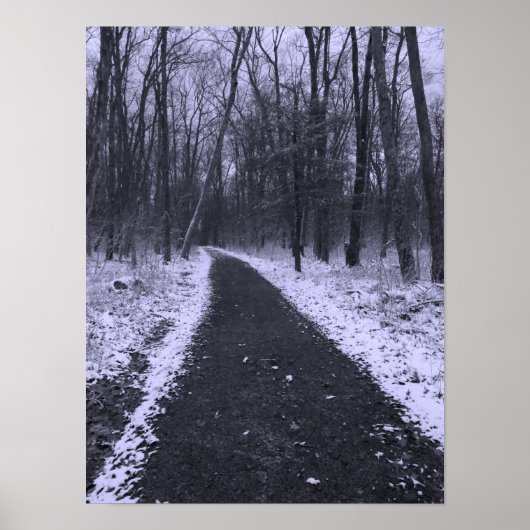 Winterwanderung Poster (Vorne)