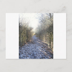 Winterwanderung Postkarte