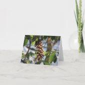 Winterwanderweg Pine Cone Note Card Dankeskarte (Vorderseite)