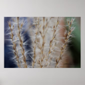 Winterwärme 2 poster (Vorne)