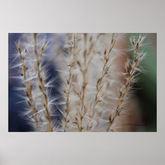 Winterwärme 2 poster (Vorne)