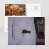 Winterweg Postkarte (Vorne/Hinten)