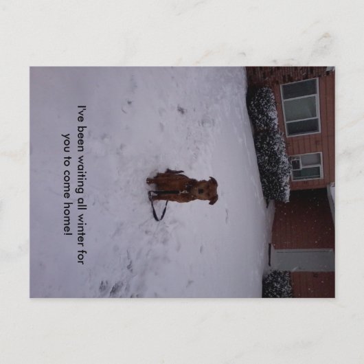 Winterweg Postkarte (Vorderseite)