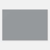 Winterweiß auf dem majestätischen Evergreen Geschenkpapier Set (Vorderseite 2)