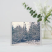 Winterweiß Postkarte (Stehend Vorderseite)