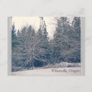 Winterweiß Postkarte