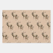 Winterweiß und Kraft Urlaubsangebot Geschenkpapier Set (Vorderseite)