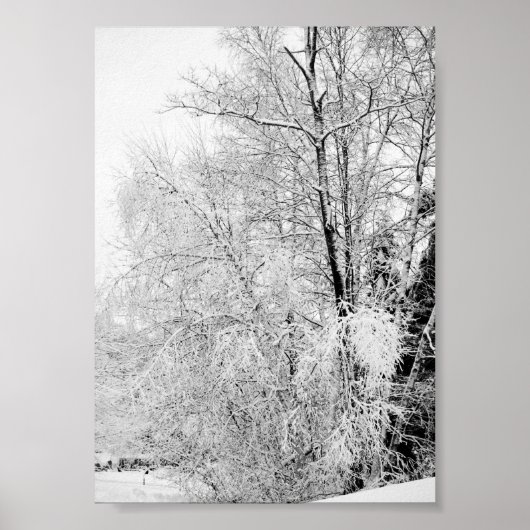 Winterweiße drucken poster (Vorne)