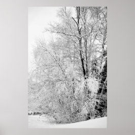 Winterweiße drucken poster