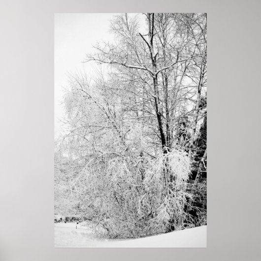 Winterweiße drucken poster (Vorne)