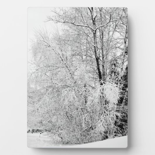 Winterweiße Fotoplatte (Vorderseite)
