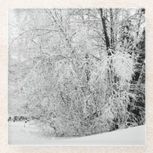 Winterweiße Glasuntersetzer