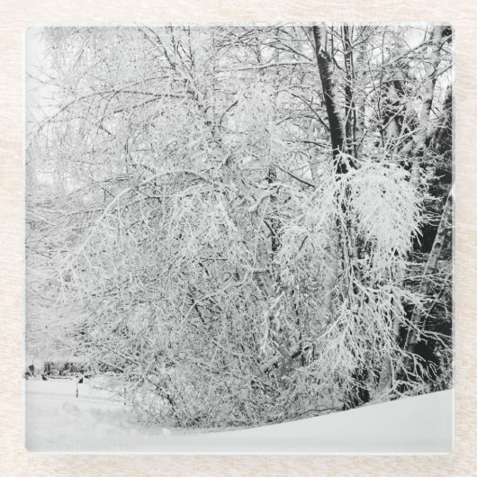 Winterweiße Glasuntersetzer (Vorderseite)