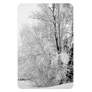 Winterweiße Magnet