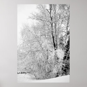 Winterweiße Poster