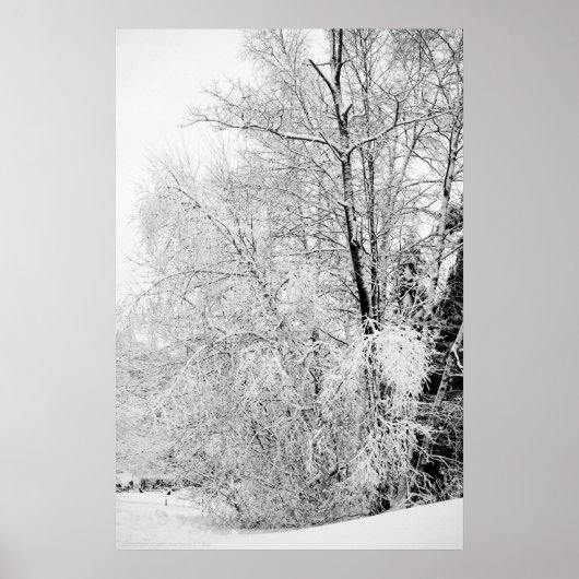 Winterweiße Poster (Vorne)