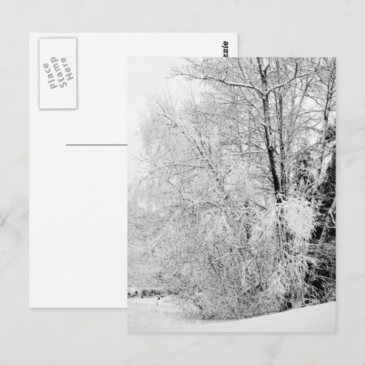 Winterweiße Postkarte (Vorne/Hinten)