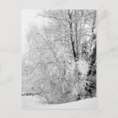 Winterweiße Postkarte (Vorderseite)