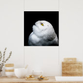 Winterweiße Schneeauwl Poster (Küche)