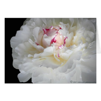 winterweißer Schauer