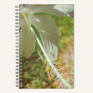 Winterweißes Hibiskus-Notizbuch Notizblock