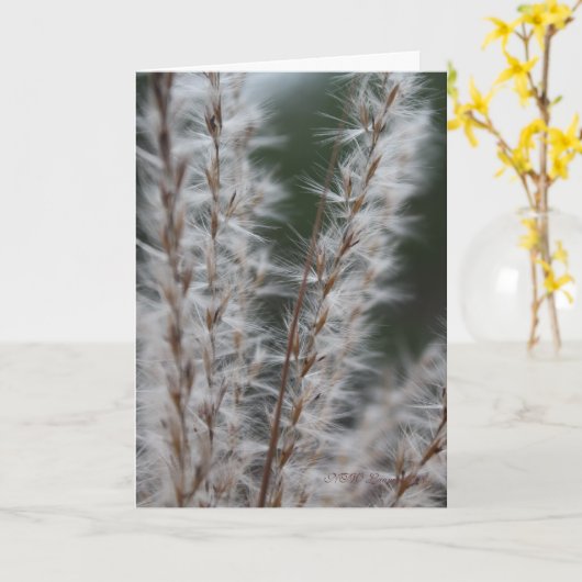 Winterweizen Karte (Gelbe Blume)