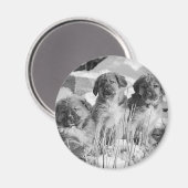 Winterwelpen Magnet (Vorderseite/Rückseite)