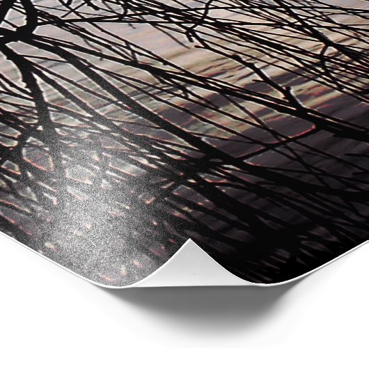 WINTERWILLOW-BAUM FOTODRUCK (Ecke)