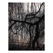 WINTERWILLOW-BAUM FOTODRUCK (Vorne)