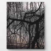 WINTERWILLOW-BAUM FOTOPLATTE (Vorderseite)