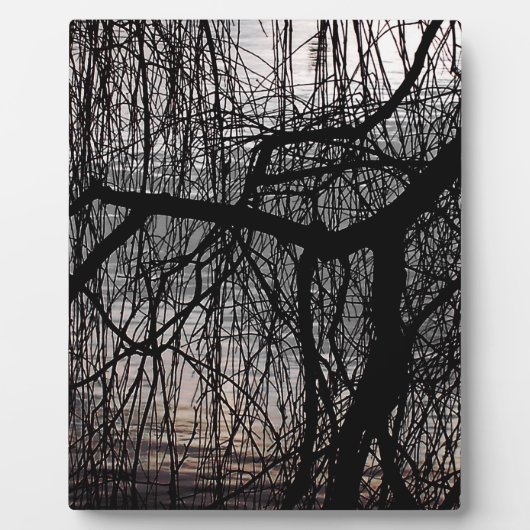 WINTERWILLOW-BAUM FOTOPLATTE (Vorderseite)