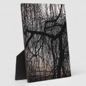 WINTERWILLOW-BAUM FOTOPLATTE (Seite)