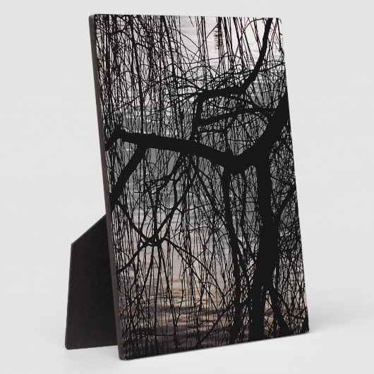 WINTERWILLOW-BAUM FOTOPLATTE (Seite)