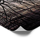 WINTERWILLOW-BAUM POSTER (Ecke)