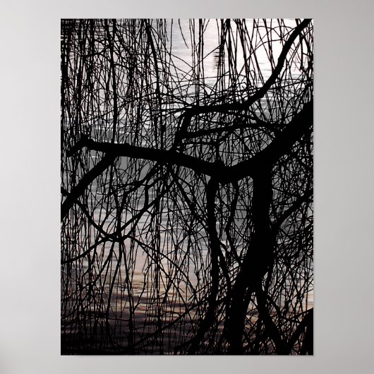 WINTERWILLOW-BAUM POSTER (Vorne)