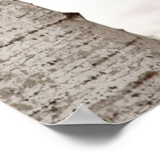 WinterWolf Poster (Ecke)