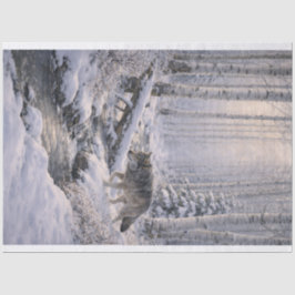 Winterwolf Seidenpapier