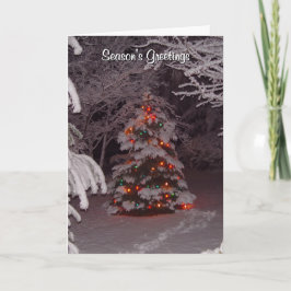 Winterwonderland-Karte der Jahreszeit Feiertagskarte