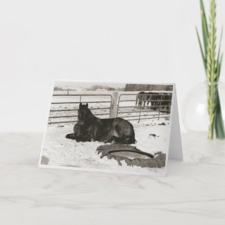 Winterwunder Feiertagskarte