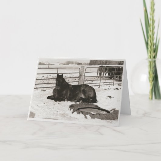 Winterwunder Feiertagskarte (Vorderseite)